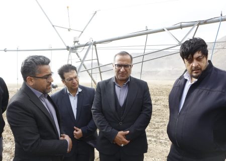 رشد ۱۲ درصدی تولید سیب‌زمینی فیروزکوه با تکیه بر روش‌های نوین کشاورزی